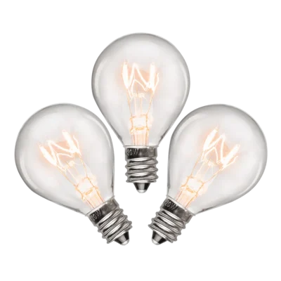 Bulbs & Accessories