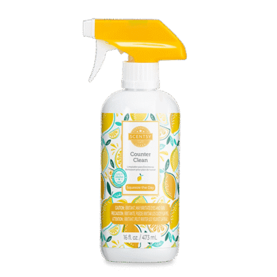 Squeeze the Day Counter Clean