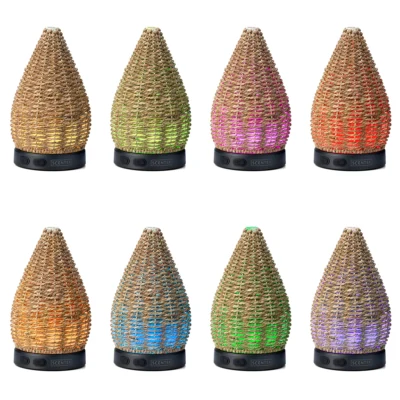 Wonder Scentsy Diffuser