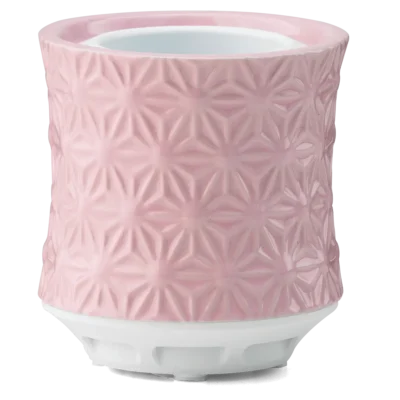 Scentsy Air – Burst