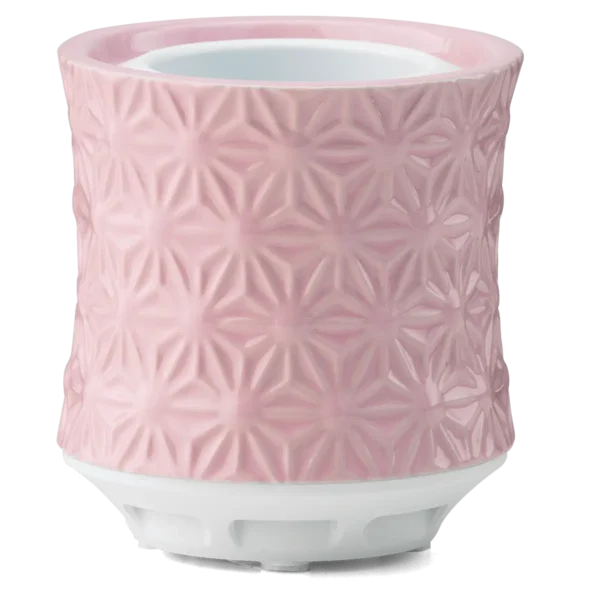 Scentsy Air – Burst