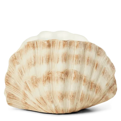 Seashell Scentsy Warmer