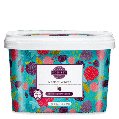 Black Raspberry Vanilla Washer Whiffs Tub