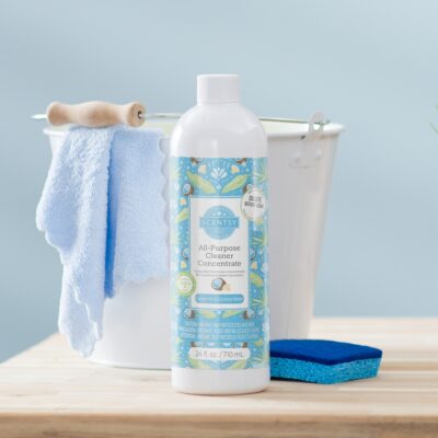 Laundry & Cleaning
