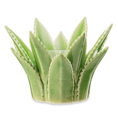 Aloe Vera Scentsy Warmer