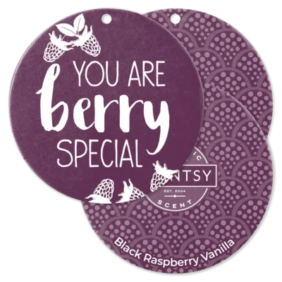 Black Raspberry Vanilla Scent Circle 3-Pack