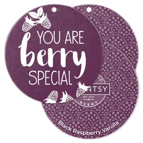 Black Raspberry Vanilla Scent Circle 3-Pack