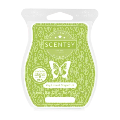 Key Lime & Grapefruit Scentsy Bar