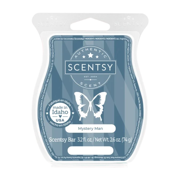Mystery Man Scentsy Bar