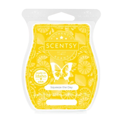 Squeeze the Day Scentsy Bar