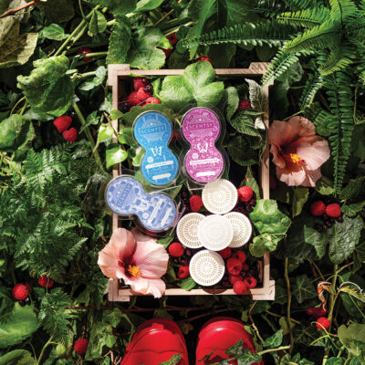 Scentsy Pods
