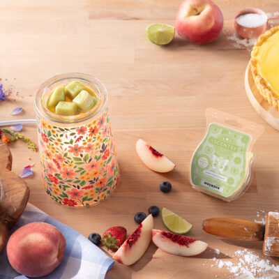Scentsy Bars and Warmers